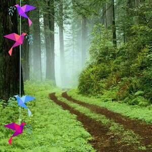 Meet your Posher, Theresa